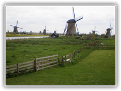 Many windmills at Kinderdijk