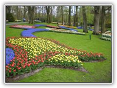 Tulip display at Keukenhof's Gardens