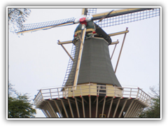 Windmill at Keukenhof